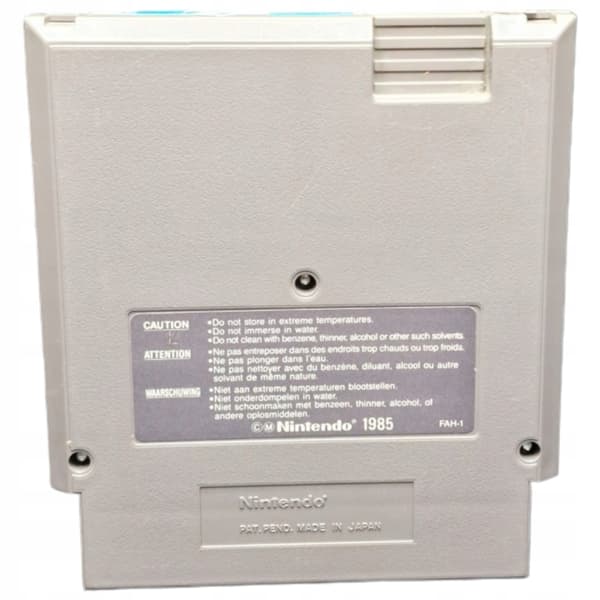 Paperboy Nintendo NES Newspaper Boy
