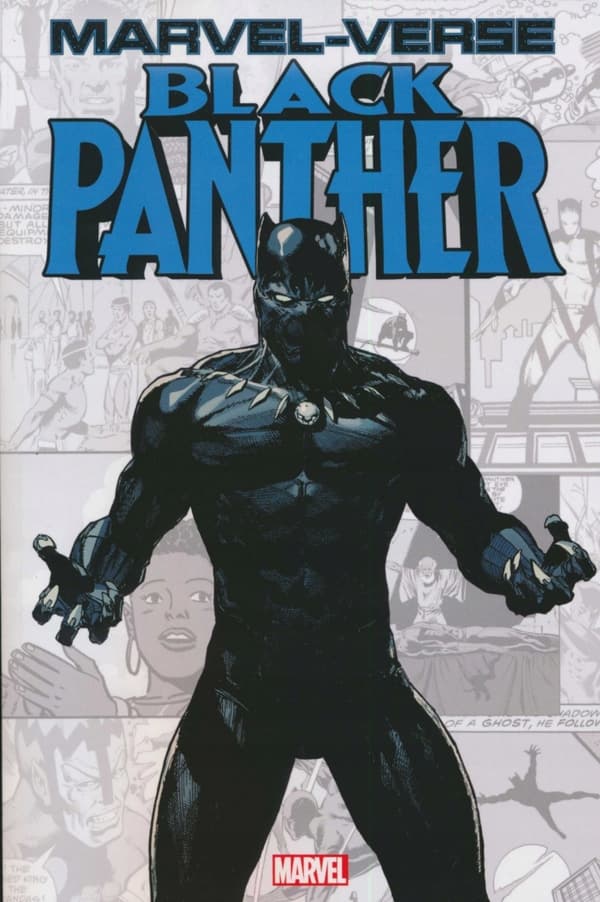 Marvel Universe: Black Panther – Parker Jeff