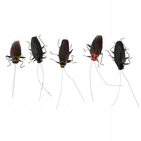 5-Piece Creative Best-Selling Artificial Cockroach Animal Model Simulation Set
