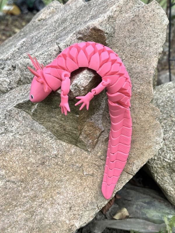 Aksolotl XL Segmented 3D – A fabulous, flexible, posable figurine and toy