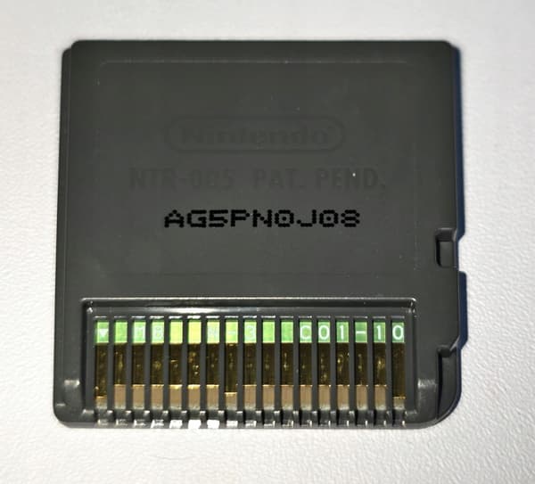 Garfield's Nightmare for Nintendo DS