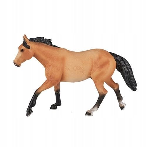 Mojo, the Quarter Horse swimmer
