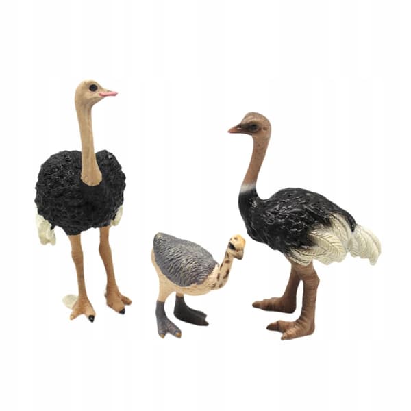 3x Bird models Ostrich model Animal figurines Sculptures Science Educational