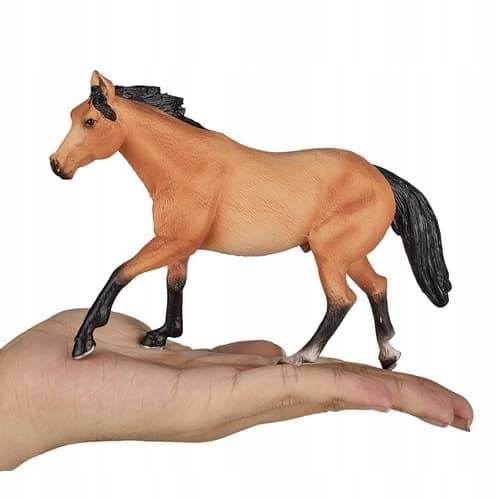 Mojo, the Quarter Horse swimmer