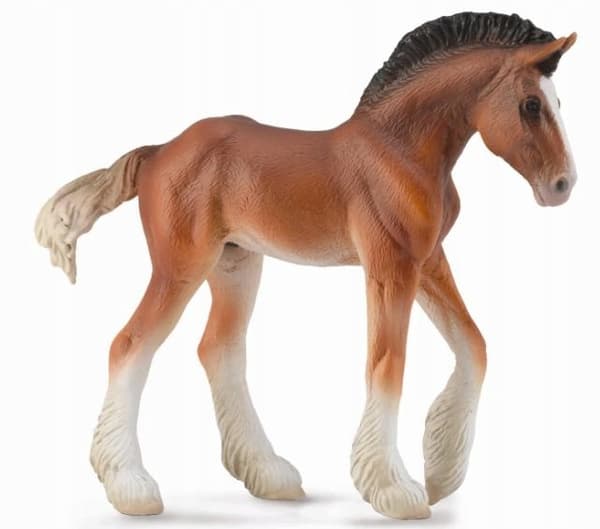 Bay M Clydesdale foal