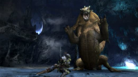 Monster Hunter 3: Tri (Wii)