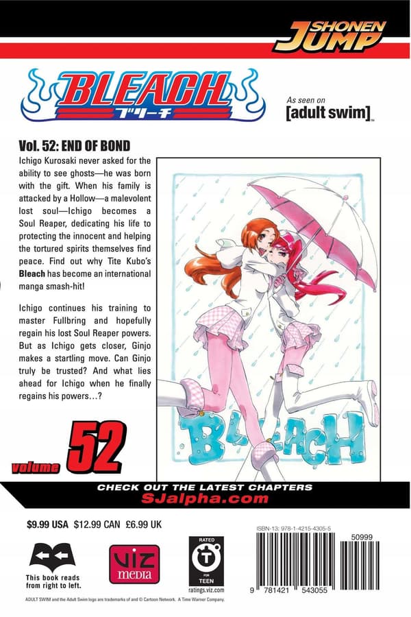 BLEACH 52 – Tite Kubo (BOOK)