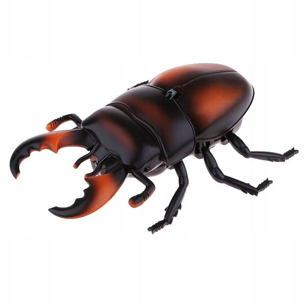 Radio-controlled ‘Scared Beetles’ toy model for a Hallowmas party