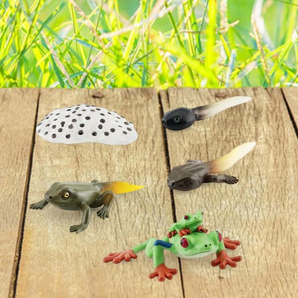 Life cycle Animal figures Toy for developmental play Early Style A