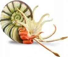 Collecta 88902 Pleuroceras ammonite