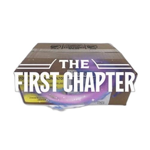 Lorcana The First Chapter 4 Booster Box Case German