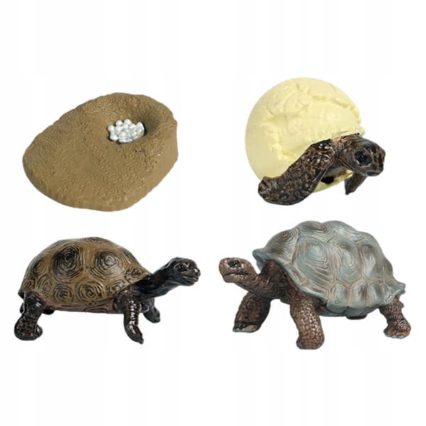 Turtle Life Cycle Model Goodie Bag Fillers Science Playset – Turtle