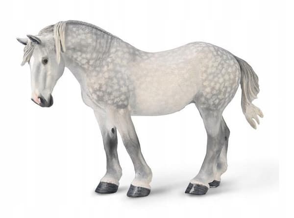 COLLECTA, A GREY-APPLE-COLOURED PERCHERON MARE