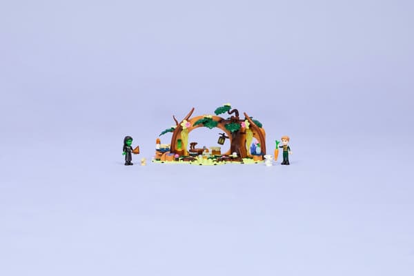 LEGO Wicked 75687 Elphaba’s Hideout