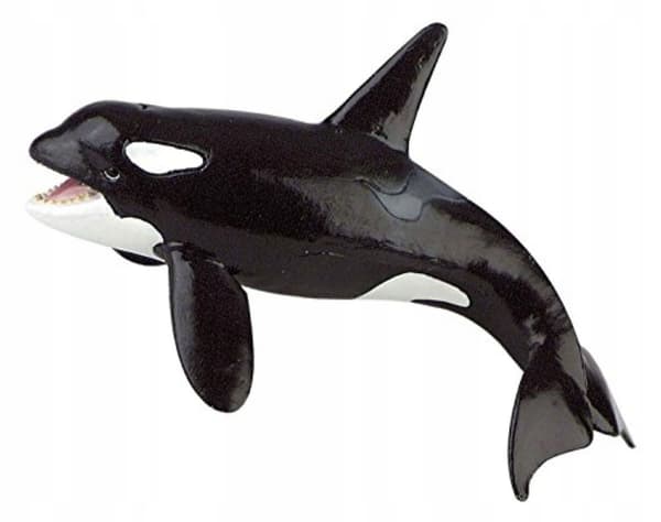 [FOR CHILDREN] ORCA [FIGURINE]
