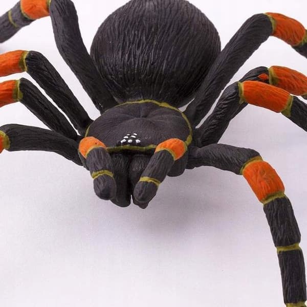 Safari Ltd. – Orange-kneed Tarantula figurine 253129