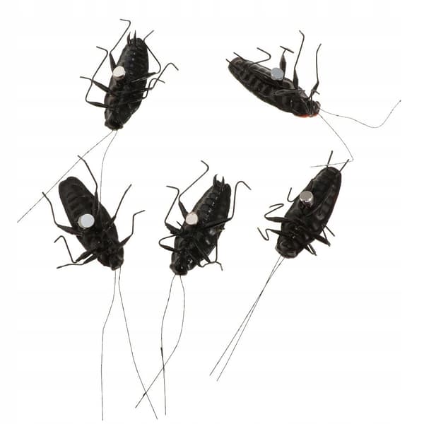 5-Piece Creative Best-Selling Artificial Cockroach Animal Model Simulation Set