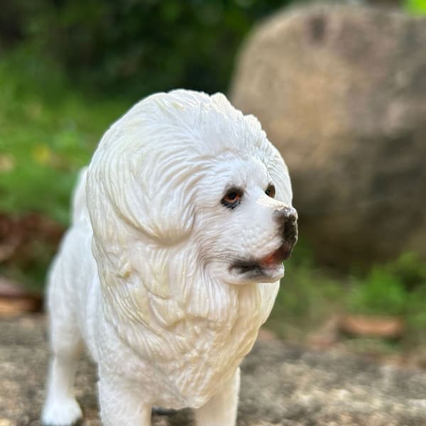 A MODEL OF A PET, MADE AT HOME ON A TABLE