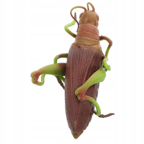 SOFT GRASSHOPPER – EDUCATIONAL TOY AND ROOM DECORATION