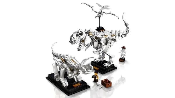 LEGO Ideas 21320 Dinosaur Skeletons