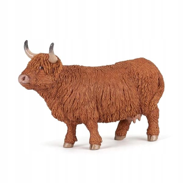 HIGHLAND CATTLE BULL
