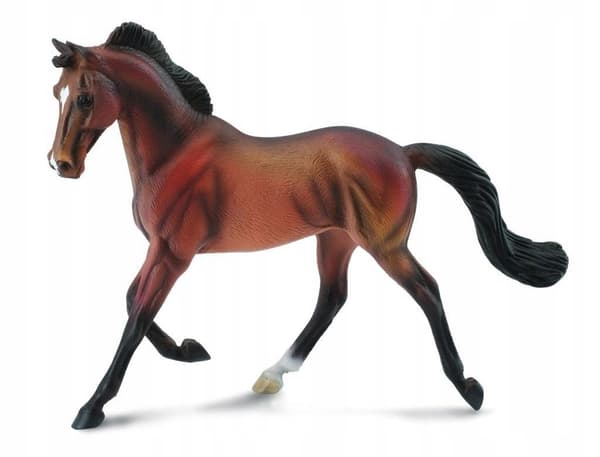 BAY THOROUGHBRED MARE, COLLECTA