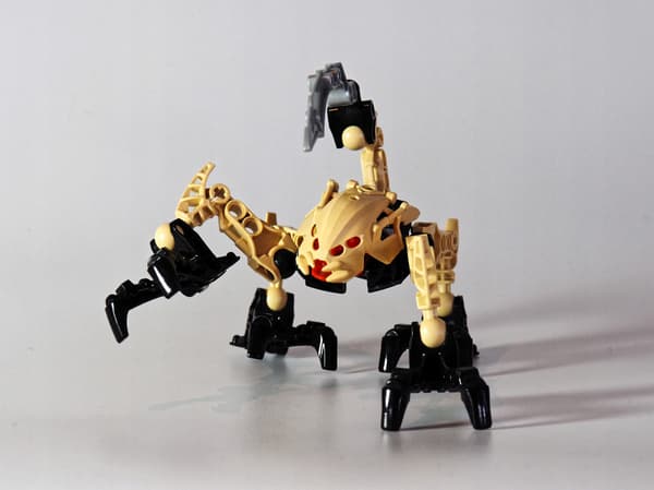 LEGO Bionicle 8977 Agori Zesk – Second-hand bricks. Robot set – complete. Small