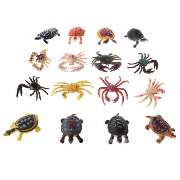 16 PVC Tortoise-themed Educational Figures for Children