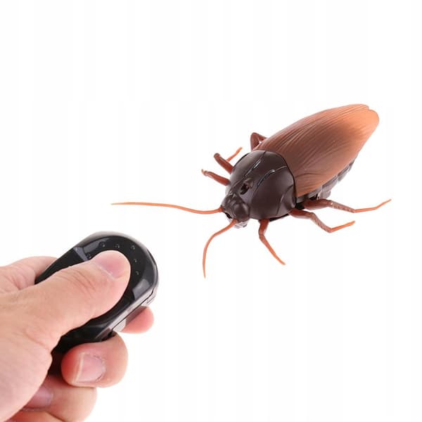 Remote-controlled toy: Trick, Hallucination, Hallucinator, Scary