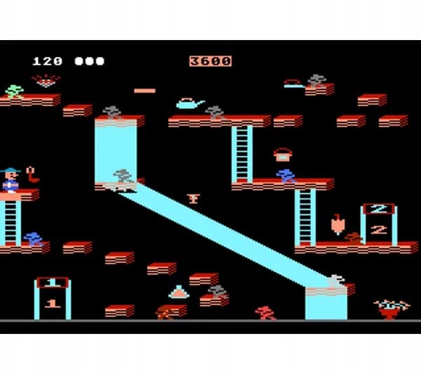 THE GAME 'BOUNTY BOB STRIKES BACK'