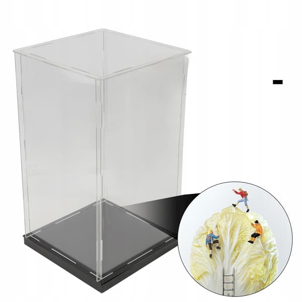 1 STUFF STURDY BLACK ACRYLIC DISPLAY CASE FOR COLLECTIONS