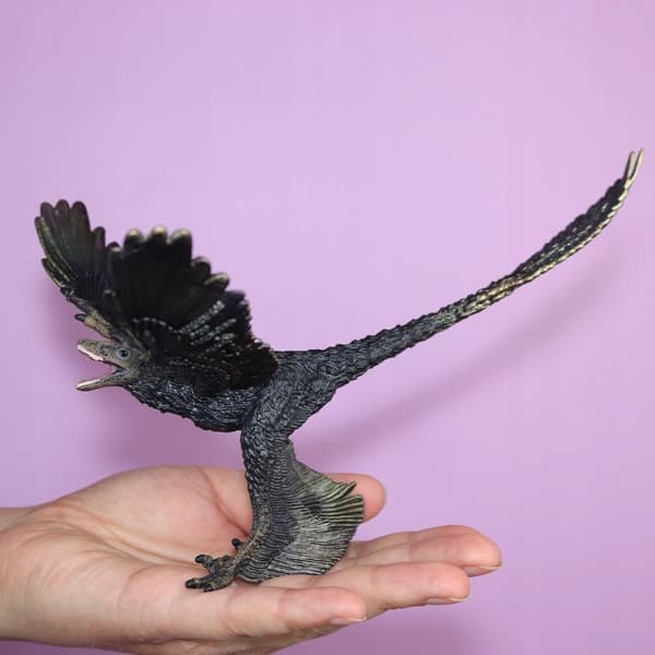 MICRORAPTOR DINOSAUR - CollectA - 88875 - XL