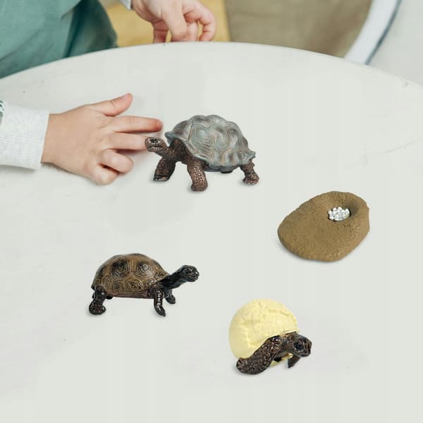 Turtle Life Cycle Model Goodie Bag Fillers Science Playset – Turtle