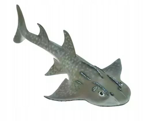Bowmouth shark L.