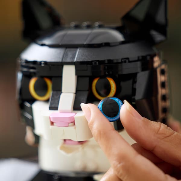 LEGO Ideas Black and White Cat 21349