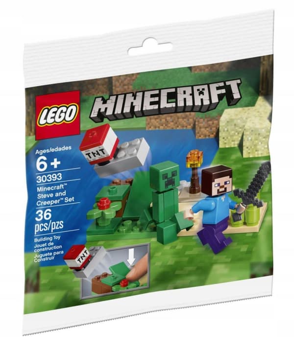 LEGO Minecraft 30393 Steve and the Creeper