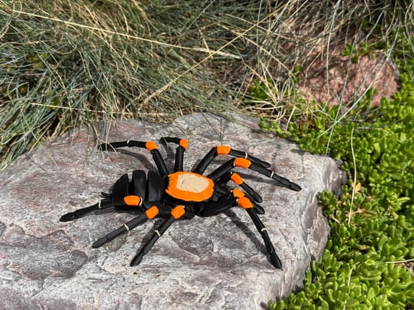 Tarantula 3D – a realistic, articulated spider, a unique figurine
