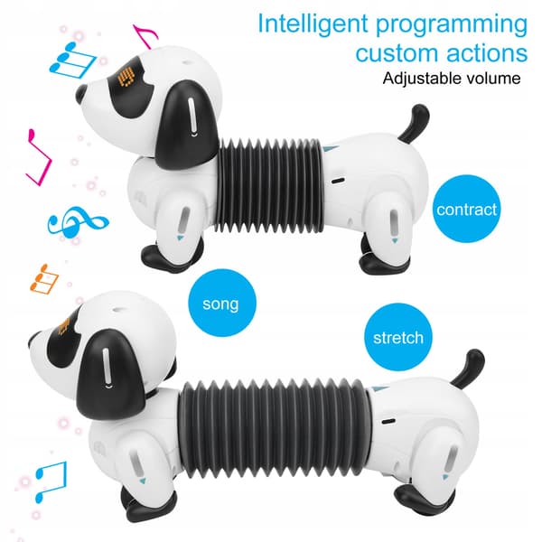 A robot toy for a puppy