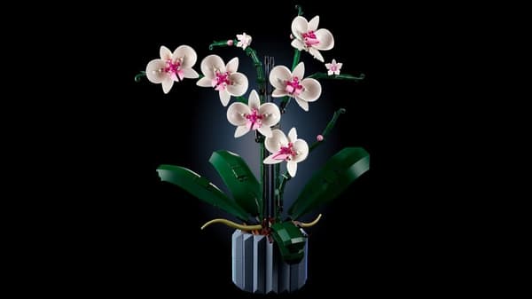 LEGO Botanicals Orchid Flowers_10311