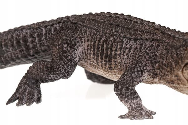 Mojo realistic alligator figurine