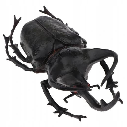 3x Lifelike Beetle Figures – Insects