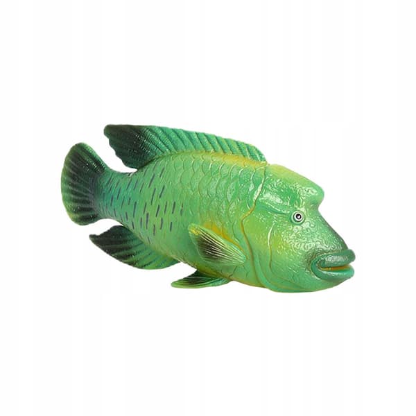 DURABLE PLASTIC MODEL OF A GREEN NAPOLEON FISH