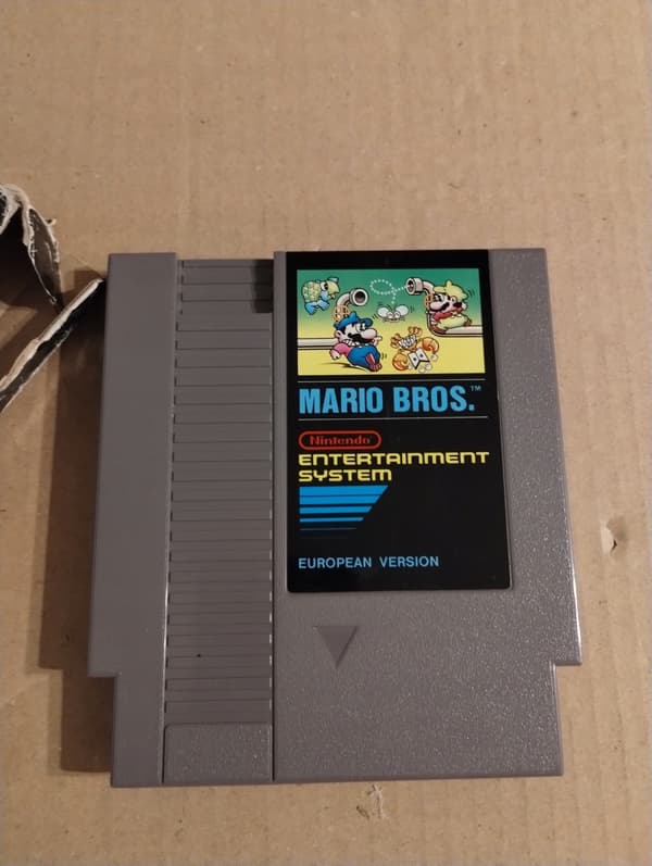 The NES Mario Bros game