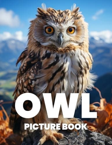 Vazquez, Aaron: *Owls* Picture Book