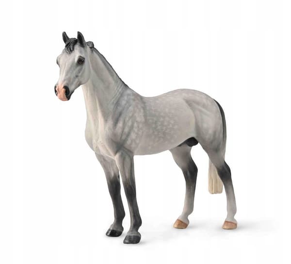 COLLECTA, A BLACK-GREY HANOVERIAN STALLION