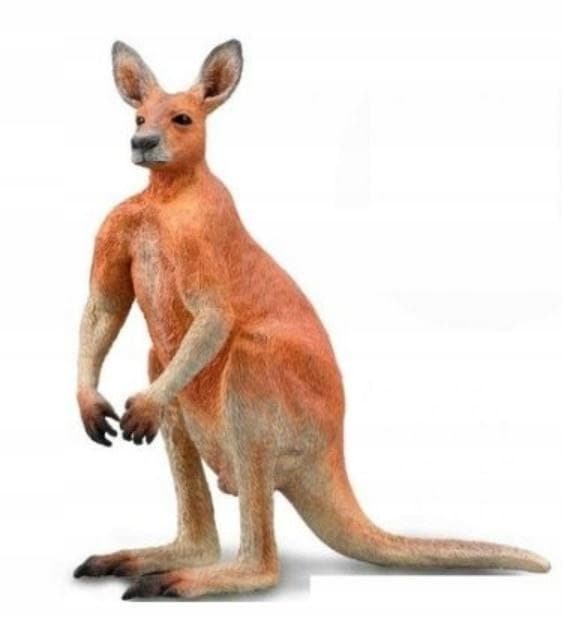 Small Red Canguro