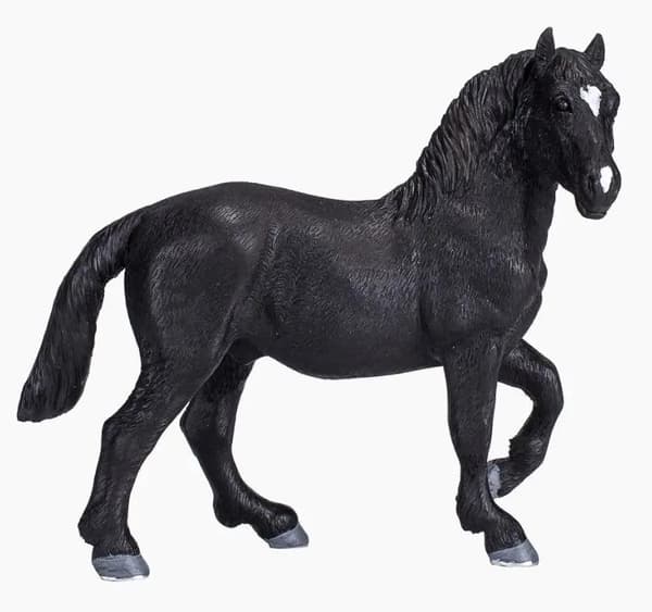 Mojo, a Percheron horse
