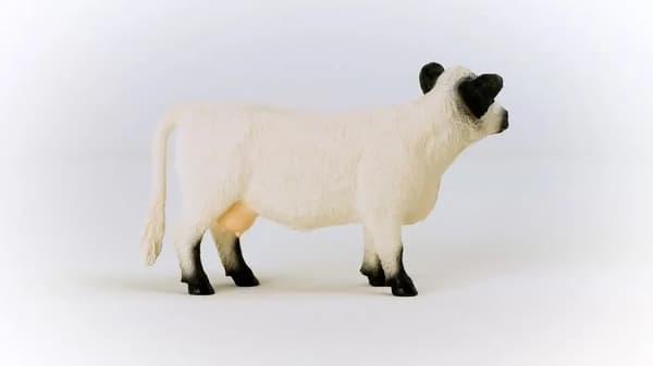 GALLOWAY COW (FIGURINE)