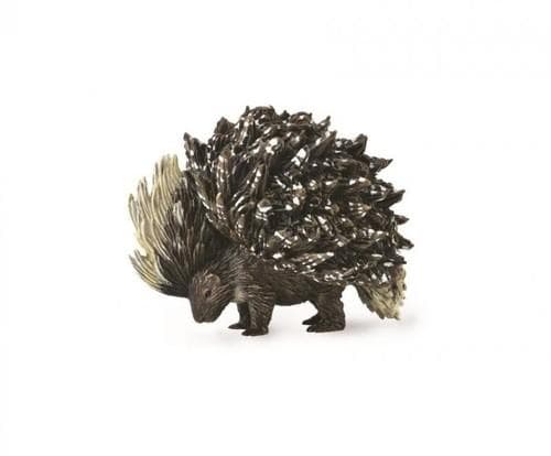Indian porcupine