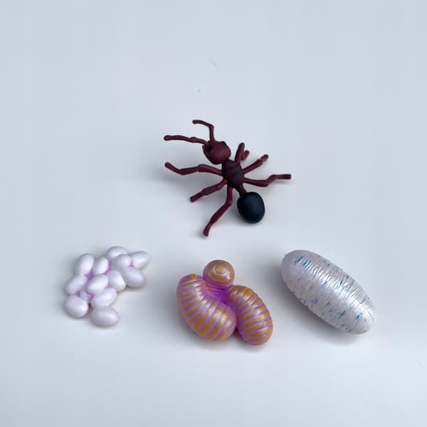 INSECT LORE educational ant life cycle figurine set for children aged 4+
